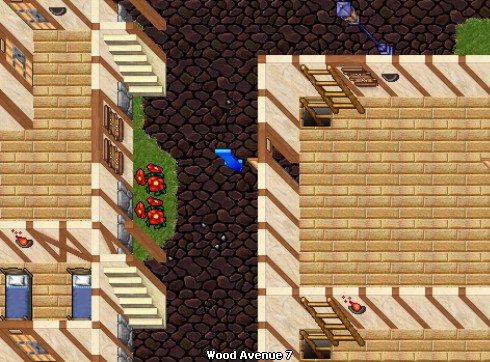 house image